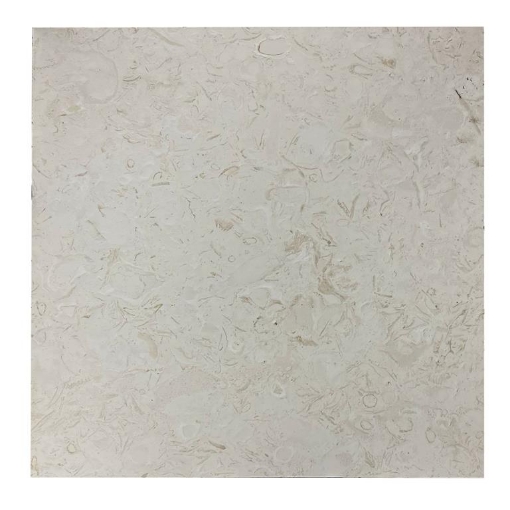 Picture of 18" x 18" Mediterrenean Shell Stone Tile Brushed - 1 Piece