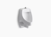 Picture of KOHLER Dexter Siphon-jet wall-mount - White