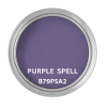 Picture of Sherwin Williams Colonial Style Latex  1 Gallon -  Matte Purple Spell  